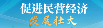 促進民營經濟發展壯大